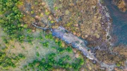 Der Braunkohletagebau formt die Landschaft auf unnat&uuml;rliche Weise, doch die Natur kehrt zur&uuml;ck.