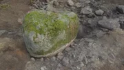 Stein