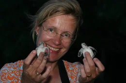 Wer mag es ihr verg&ouml;nnen, wenn sie sich &uuml;ber jedes Schildkr&ouml;tenbaby m&auml;chtig freut? Dr. Hiltrud Cordes ("Hilli"), die Protagonistin der Sendung, am Strand von Sangalaki/Indonesien. Dank des Einsatzes ihrer Initiative, der "Turtle Foundation", konnten bereits &uuml;ber 1 Million junger Meeresschildkr&ouml;ten an diesem wichtigsten Niststrand wieder schl&uuml;pfen. Eiersammler haben hier seit einigen Jahren nichts mehr verloren.