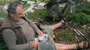 Ulrich Augst, Vogelschützer u. Vogelexperte. Seit 40 Jahren beringt er die Falken und Uhus in der Oberlausitz Ulrich Augst, Vogelschützer u. Vogelexperte. Seit 40 Jahren beringt er die Falken und Uhus in der Oberlausitz