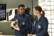 Arastoo Vaziri (Pej Vahdat, l.); Temperance Brennan (Emily Deschanel, r.)