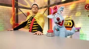 Woozle hat einen Bienenstock ins Studio geholt und möchte die Bienen unbedingt als Haustiere behalten. Woozle hat einen Bienenstock ins Studio geholt und möchte die Bienen unbedingt als Haustiere behalten.