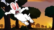 Bunnicula