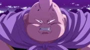 Mr. Buu