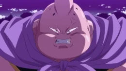 Mr. Buu