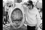 Regisseur Steven Spielberg posiert neben einem Hai an einem Angelhaken.