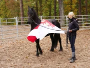Friesenstute Merle und Katja Schnabel im Anti-Schreck-Training