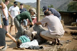 Petronel Nieuwoudt hat die Auffangstation &bdquo;Care for Wild&ldquo; gegr&uuml;ndet, um Nashorn-Waisen wieder aufzup&auml;ppeln.