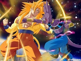 L-R: Goku und Beerus