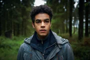 Will Parry (Amir Wilson)