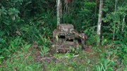 Hazen Audel entdeckt einen alten Panzer im Dschungel. (National Geographic/Icon Films/Alex Holden)
