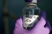 Wasserprobe für die Untersuchung des Grundwassers auf PFAS Chemikalien Wasserprobe für die Untersuchung des Grundwassers auf PFAS Chemikalien