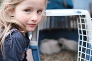 Malou schließt die Meerschweinchen in ihr Herz und kümmert sich um die neuen Mitbewohner. Malou schließt die Meerschweinchen in ihr Herz und kümmert sich um die neuen Mitbewohner.