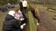 Besonders f&uuml;r die kleinen Wollnys ist der Ausflug in den Wildpark sehr spannend