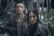 Topher Grace, Alice Braga