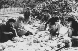 Deutschland liegt am Ende des Zweiten Weltkriegs in Tr&uuml;mmern &ndash; und wird von Frauen wieder aufgebaut, weil viele M&auml;nner im Krieg gefallen oder in Gefangenschaft sind.