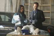 Die Studentin Jane Herzfeld wird erschossen und einbetoniert aufgefunden. Lanie Paris (Tamala Jones, l.) berichtet Kevin Ryan (Seamus Dever, r.), was sie &uuml;ber den m&ouml;glichen Tathergang herausfinden konnte ...