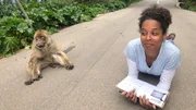 Pia bei der Affenforschung. Sie soll versuchen, eine Ausweiskarte für dieses Tier zu erstellen. Pia bei der Affenforschung. Sie soll versuchen, eine Ausweiskarte für dieses Tier zu erstellen.