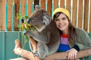 Koalas haben ein ganz weiches Fell.