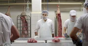 Die Fleischzerlegung findet unter Hochdruck am Flie&szlig;band statt.