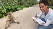 Pia bei der Affenforschung. Sie soll versuchen, eine Ausweiskarte für dieses Tier zu erstellen. Weiteres Bildmaterial erhalten Sie unter www.br-foto.de. Pia bei der Affenforschung. Sie soll versuchen, eine Ausweiskarte für dieses Tier zu erstellen. Weiteres Bildmaterial erhalten Sie unter www.br-foto.de.