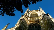 Der Regensburger Dom. Der Regensburger Dom.