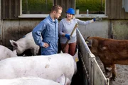 Jan Fitze auf dem Hof von Erna Köfer in Schlatt: Jan Fitze lernt, wie man Schweine versorgt. Jan Fitze auf dem Hof von Erna Köfer in Schlatt: Jan Fitze lernt, wie man Schweine versorgt.