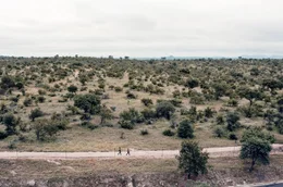 Morgenpatrouille entlang des Greater-Kruger-Zauns: Die Black Mambas sind unbewaffnet, sie sollen allein durch ihre Anwesenheit Wilderer abhalten.