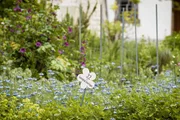 Hinter den Hecken Gartenpfad Osterfingen SH Staffel 6 Folge 8 Wie Perlen an einer Perlenkette reihen sich im Schaffhauser Dorf Osterfingen G&auml;rten an G&auml;rten. 2023