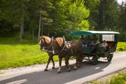 Kutsche statt Wohnmobil. Am Tennsee tauschen Gerd und Ursel ihre über hundert PS gegen zwei Pferde. Sie lassen ihren luxuriösen Camper stehen und machen eine Kutschfahrt in die Berge. Doch dann soll Gerd auch hier die Zügel übernehmen… Kutsche statt Wohnmobil. Am Tennsee tauschen Gerd und Ursel ihre über hundert PS gegen zwei Pferde. Sie lassen ihren luxuriösen Camper stehen und machen eine Kutschfahrt in die Berge. Doch dann soll Gerd auch hier die Zügel übernehmen…