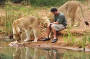 Kevin Richardson sitzt mit L&ouml;winnen am Flussufer / an der Staumauer in Dinokeng