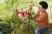 Während Brick den Sommer über eine Tomate züchten will, möchte Sue mehr Zeit mit ihrem Vater verbringen. Dieser löst nämlich großes Entsetzen bei seiner Tochter aus, als er verkündet, dass Axl sein Lieblingskind ist ... Während Brick den Sommer über eine Tomate züchten will, möchte Sue mehr Zeit mit ihrem Vater verbringen. Dieser löst nämlich großes Entsetzen bei seiner Tochter aus, als er verkündet, dass Axl sein Lieblingskind ist ...