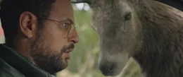 Halali: Schreck lass nach: Ein riesiger Hirsch blockiert die Stra&szlig;e, auf der Simon (Hakim Jemili) unterwegs ist.