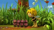 "Die Biene Maja" – "Mutter Willi": Willi will lieber mit Maja auf der Klatschmohnwiese spielen, als im Bienenstock die Larven zu füttern. Als die beiden dabei auf vier verloren gegangene Feuerkäferbabys treffen, muss Willi nun doch arbeiten. Die Lage spitzt sich zu, als die Kleinen Willi für ihre Mama halten. "Die Biene Maja" – "Mutter Willi": Willi will lieber mit Maja auf der Klatschmohnwiese spielen, als im Bienenstock die Larven zu füttern. Als die beiden dabei auf vier verloren gegangene Feuerkäferbabys treffen, muss Willi nun doch arbeiten. Die Lage spitzt sich zu, als die Kleinen Willi für ihre Mama halten.