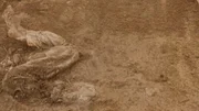 Im April wird die Leiche von Debra Colliander auf einem Feld gefunden. Ist auch sie ein Opfer von Bruce Lindahl?