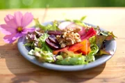 Frisch und nat&uuml;rlich: Gr&uuml;ner Salat mit wei&szlig;en, gelben und roten Beeten, Birne und Waln&uuml;ssen