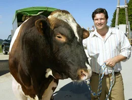 Francis Fulton-Smith.