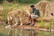 Kevin Richardson mit seinen Löwinen am Fluss. Kevin Richardson mit seinen Löwinen am Fluss.