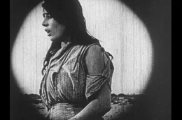 Aurora Mardiganian spielt ihre eigene Geschichte in einem Stummfilm nach. Alle Filmrollen des entstandenen Films &bdquo;Auction of Souls&ldquo; verschwinden im Laufe der Zeit. Erst nach ihrem Tod werden Ausschnitte des Films wiederentdeckt.