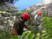 R&auml;umarbeiten auf Montecristo.