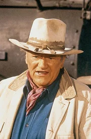 Lane (John Wayne) sucht eine Wagenladung gestohlenes Gold.