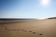 Die Kurische Nehrung ist eine 98 km lange Halbinsel an der Nordk&uuml;ste des Samlands. Die n&ouml;rdlichen 52 km geh&ouml;ren zu Litauen, die 46 s&uuml;dlichen km zu Russland.