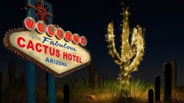 Das Kaktushotel bei Nacht