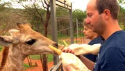 Auf Okutala Etosha geht es für die Babygiraffen Namib, Oba und JJ raus in die Freiheit. Ihr neues Zuhause ist ein 240 Quadratkilometer großes Schutzgebiet. Vor dem Aufbruch gibt es zur Stärkung ein paar Flaschen Milch. Auf Okutala Etosha geht es für die Babygiraffen Namib, Oba und JJ raus in die Freiheit. Ihr neues Zuhause ist ein 240 Quadratkilometer großes Schutzgebiet. Vor dem Aufbruch gibt es zur Stärkung ein paar Flaschen Milch.