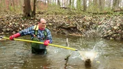 Elektrofischen auf Meerforelle im Lachsbach.