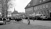 Meiereigenossenschaft Trittau eG in der Kirchenstra&szlig;e. Davor Anh&auml;nger mit Milchf&auml;ssern an Laderampe mit zwei Mitarbeitern. Eine Frau und ein Mann mit Fahrrad beim Viehtrieb einer Herde schwarzbunter K&uuml;he. (1961)