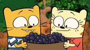 Ollie und Moon pfl&uuml;cken die Acai-Beeren.