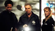 (v.li.) Warrick (Gary Dourdan), Grissom (William Petersen) und Catherine (Marg Helgenberger) erwartet ein schrecklicher Anblick: In einem Haus wurden sechs junge Showgirls auf brutalste Weise ermordet...