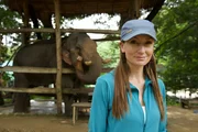 Presenter Kathrine Connor with Thong (elephnat with with chemical burns on his ears)