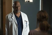 Dr. Richard Webber (James Pickens Jr.)
